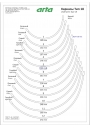 Выкройка Гретта  топ с внутренними каркасами